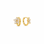 flora hoops
