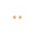starfish studs