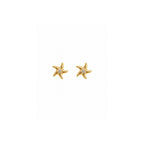 starfish studs