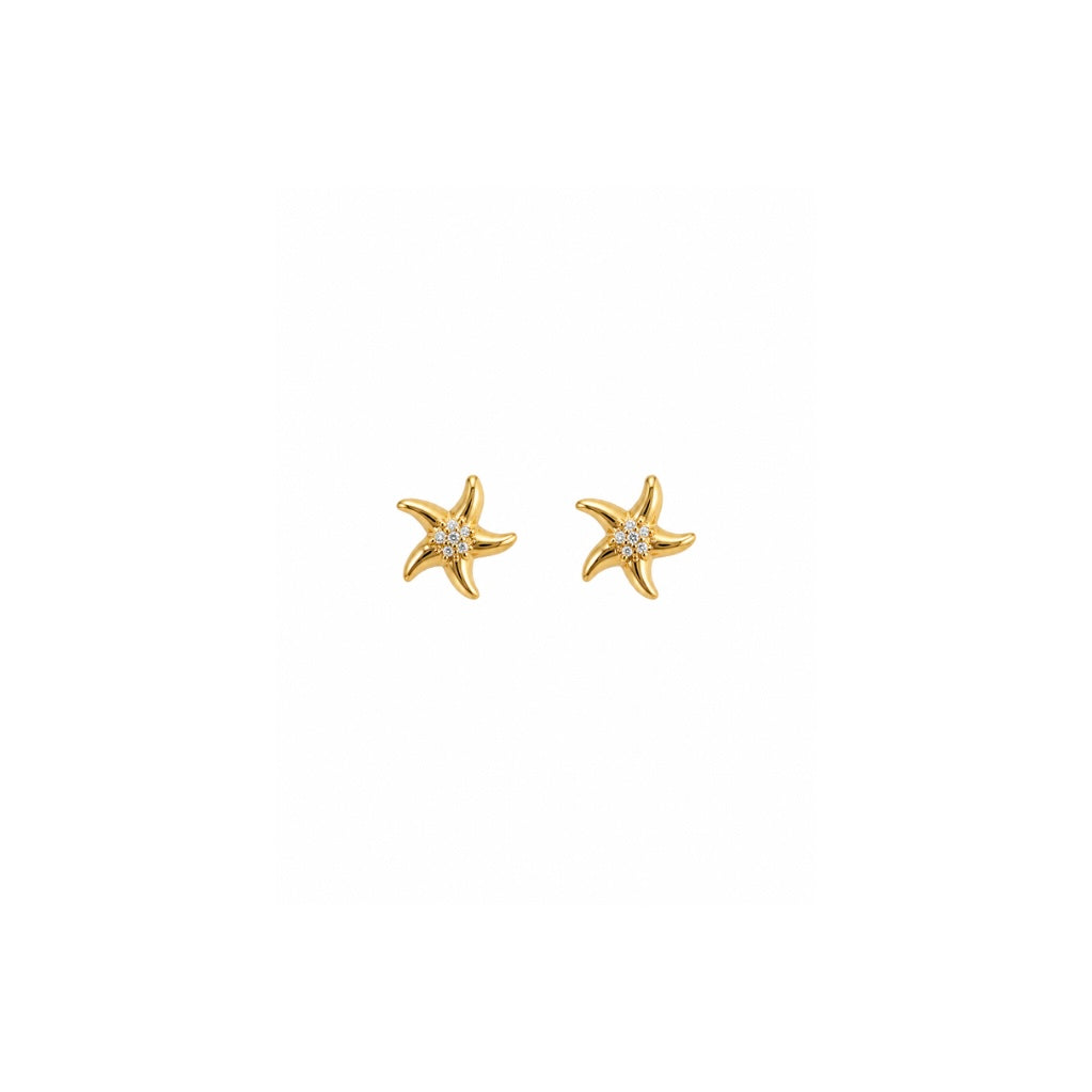 starfish studs